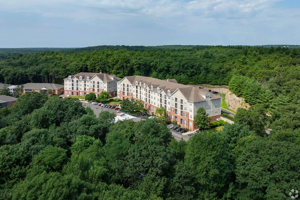 an aerial view of a building surrounded by trees