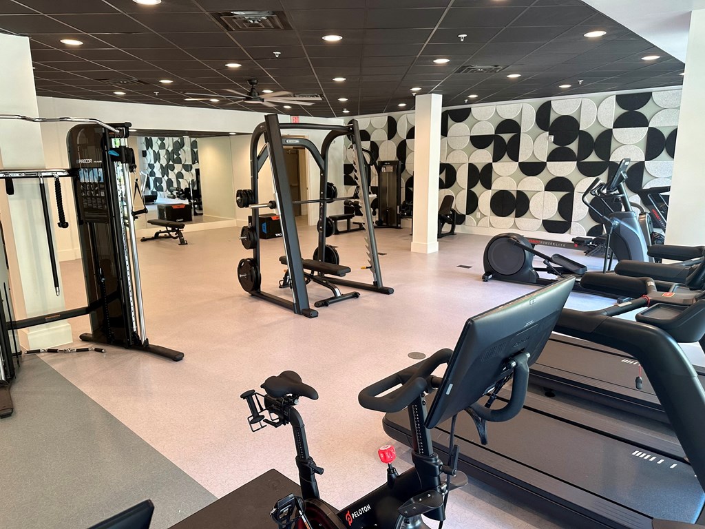 a gym with cardio equipment and weights in a wellness center