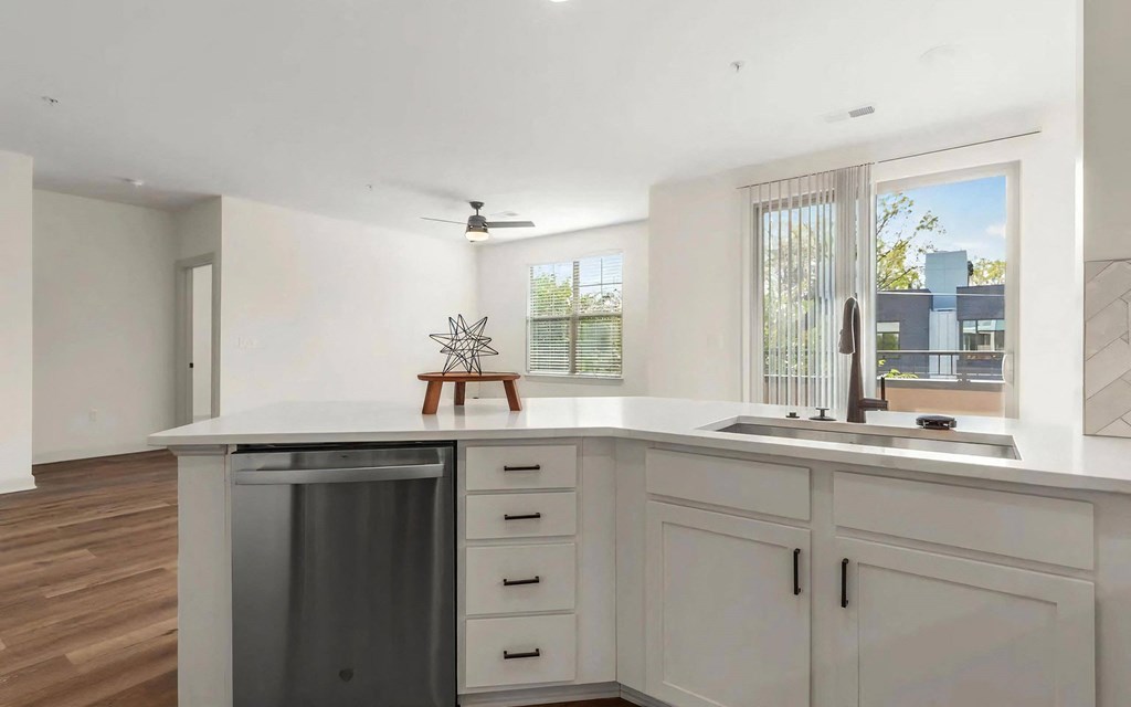 Kitchen with Stainless Steel Dishwasher at 401 Oberlin, Raleigh, NC
