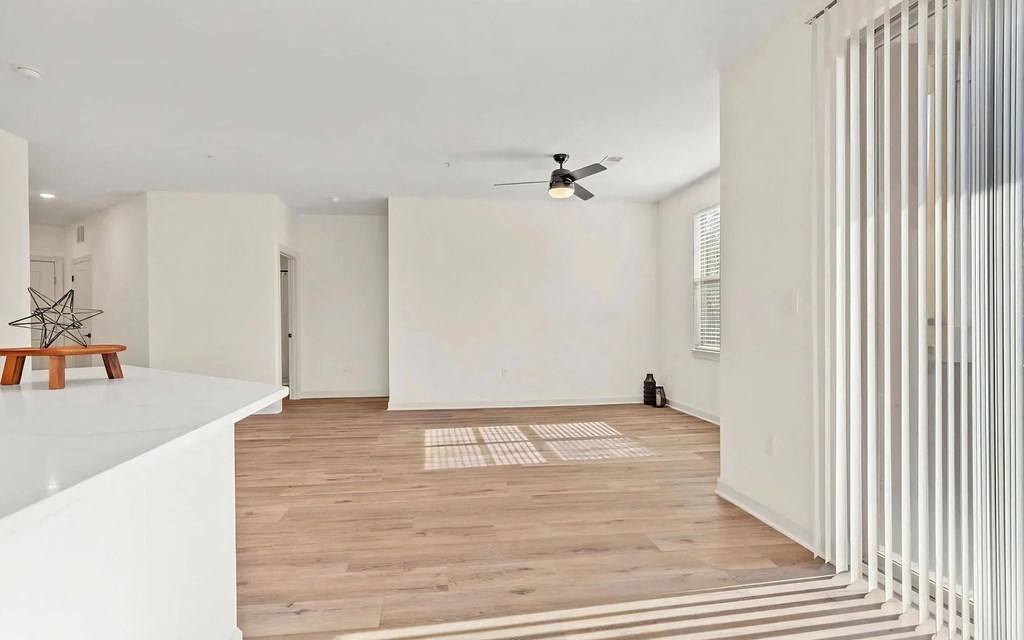 Open Concept Spaces with Natural Light at 401 Oberlin, Raleigh