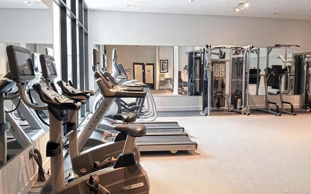 Cardio and Strength Machines