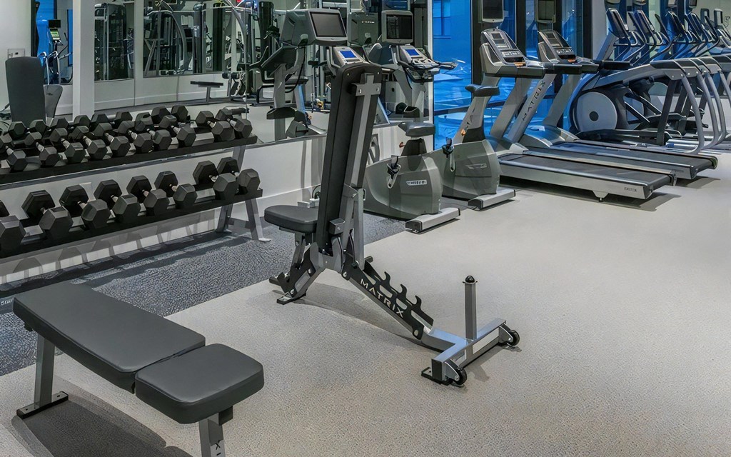 Free Weights and Cardio Machines