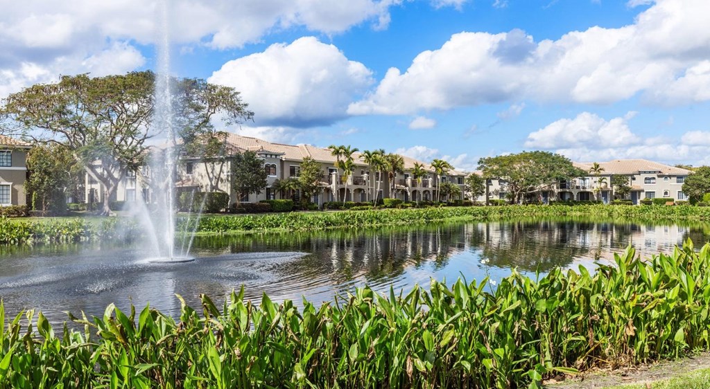 A fountain in the middle of a pond surrounded by green plants.