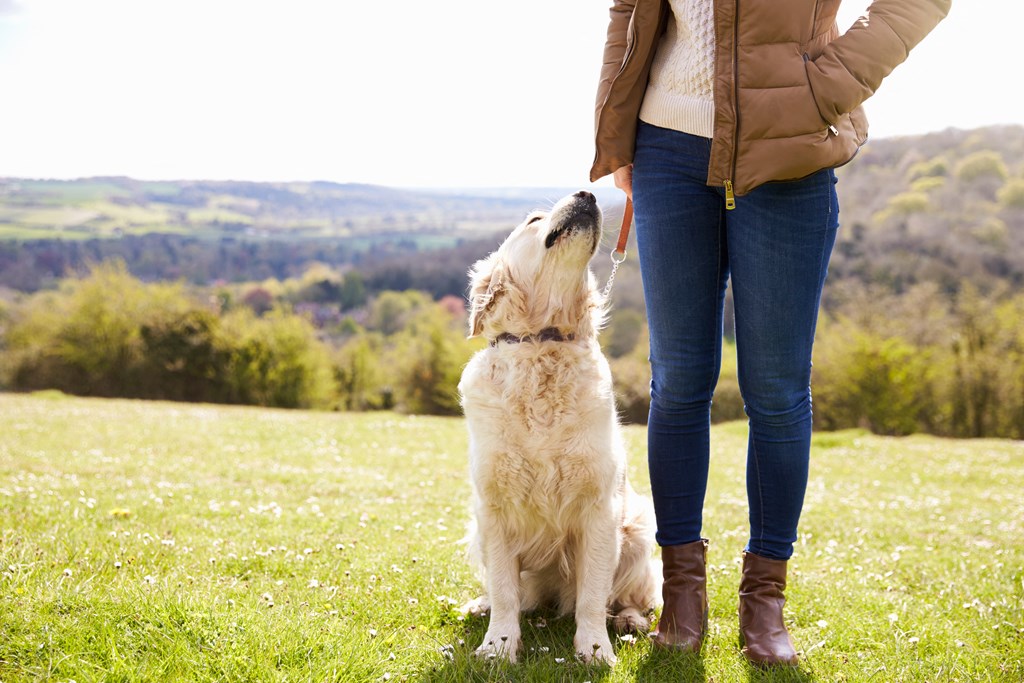 a woman is standing with her dog in a field