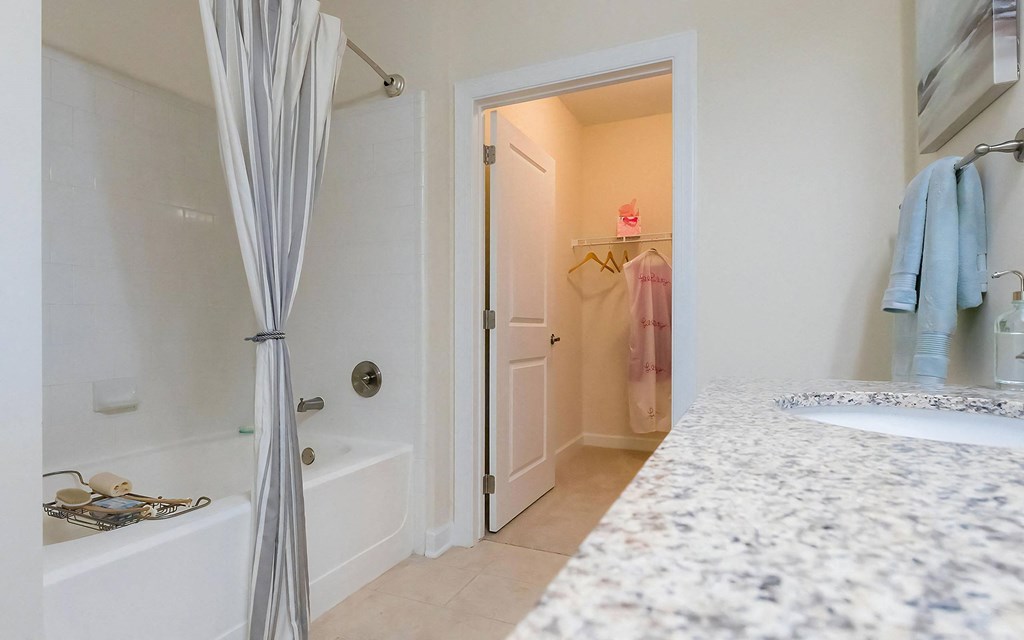 Roman Soaking Tub and Walk In Closet