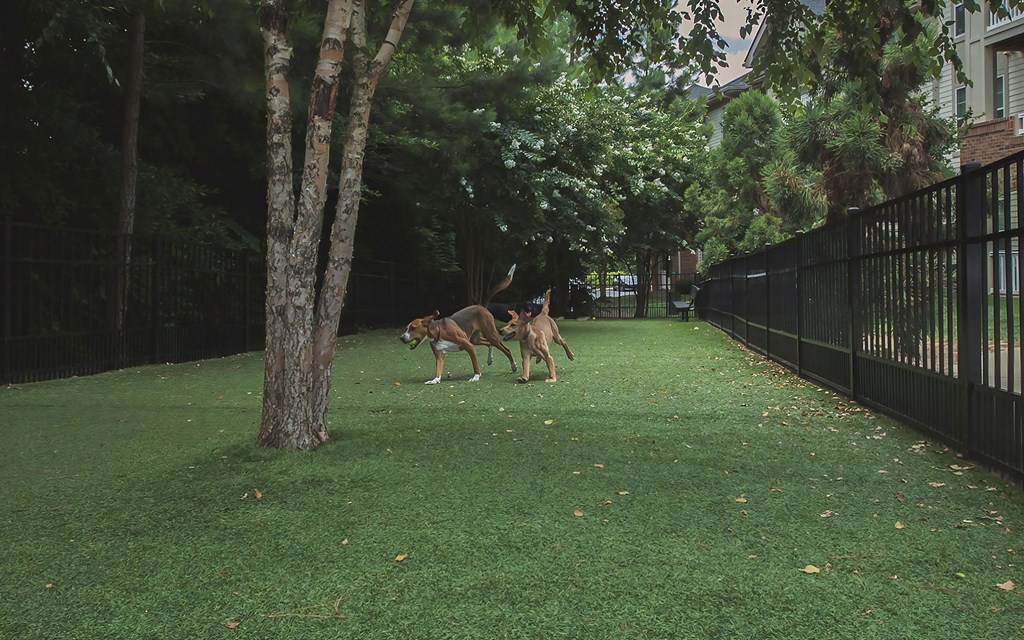 Private Dog Park