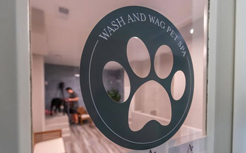 Allister North Hills