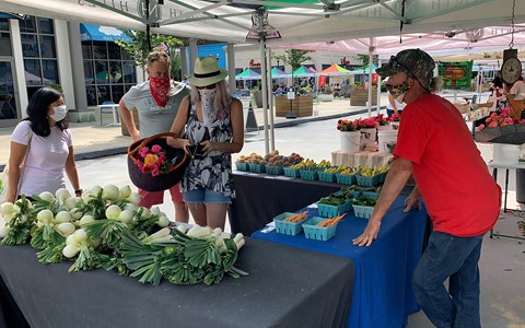 Allister North Hills