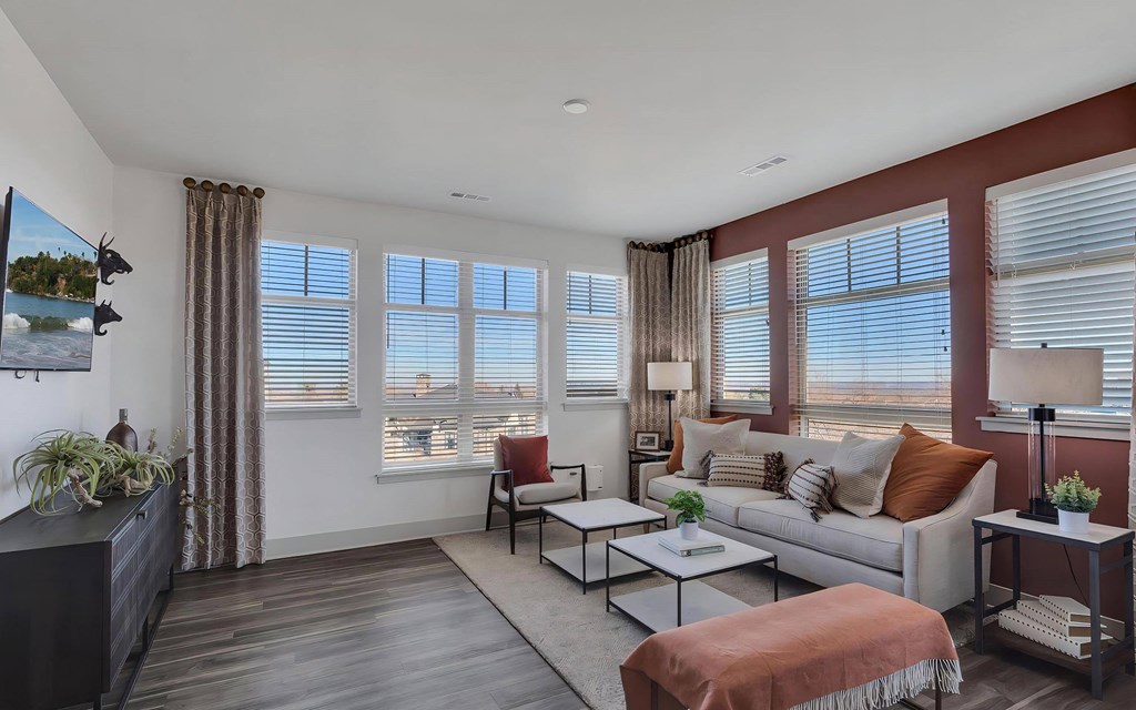 Living Rooms with Plenty of Windows