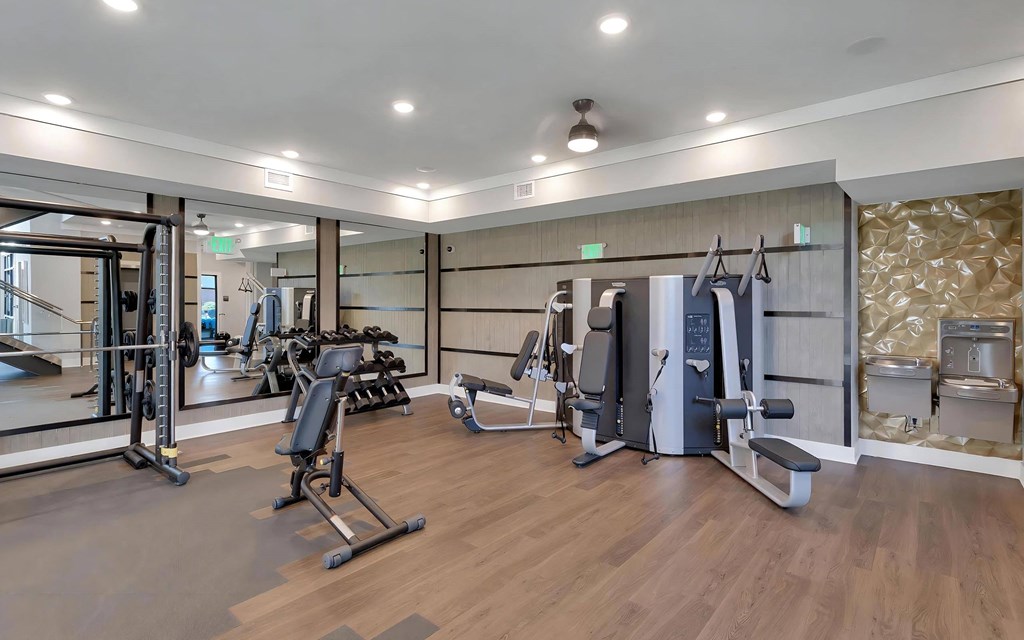 Free Weights and Strength Machines