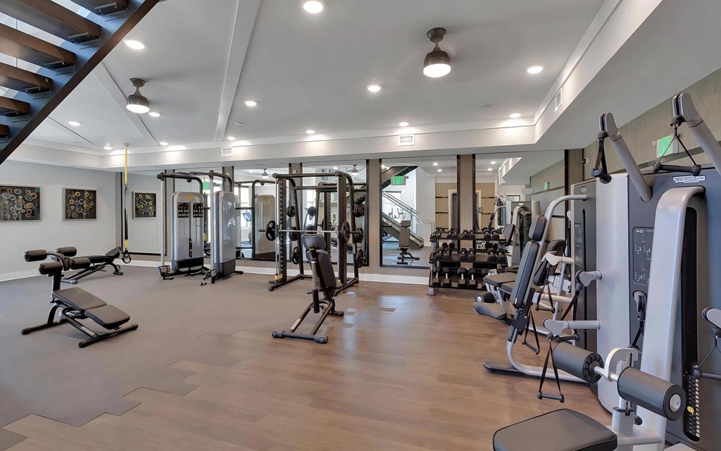 Large Fitness Studio with Training Equipment