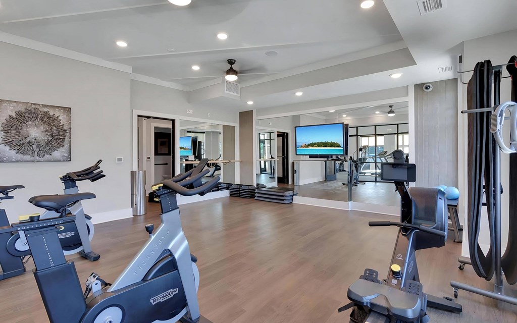 Premium Fitness Studio Featuring Cardio Machines
