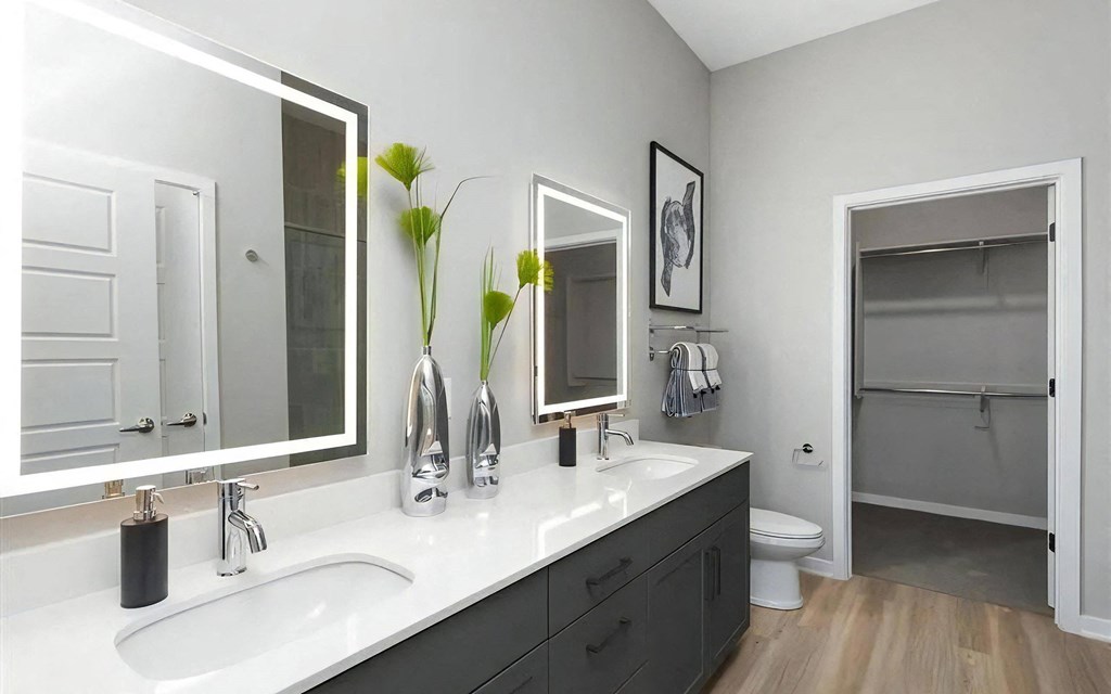 Double Vanities and Walk In Closet