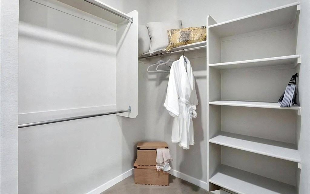 Spacious Walk In Closets with Shelves