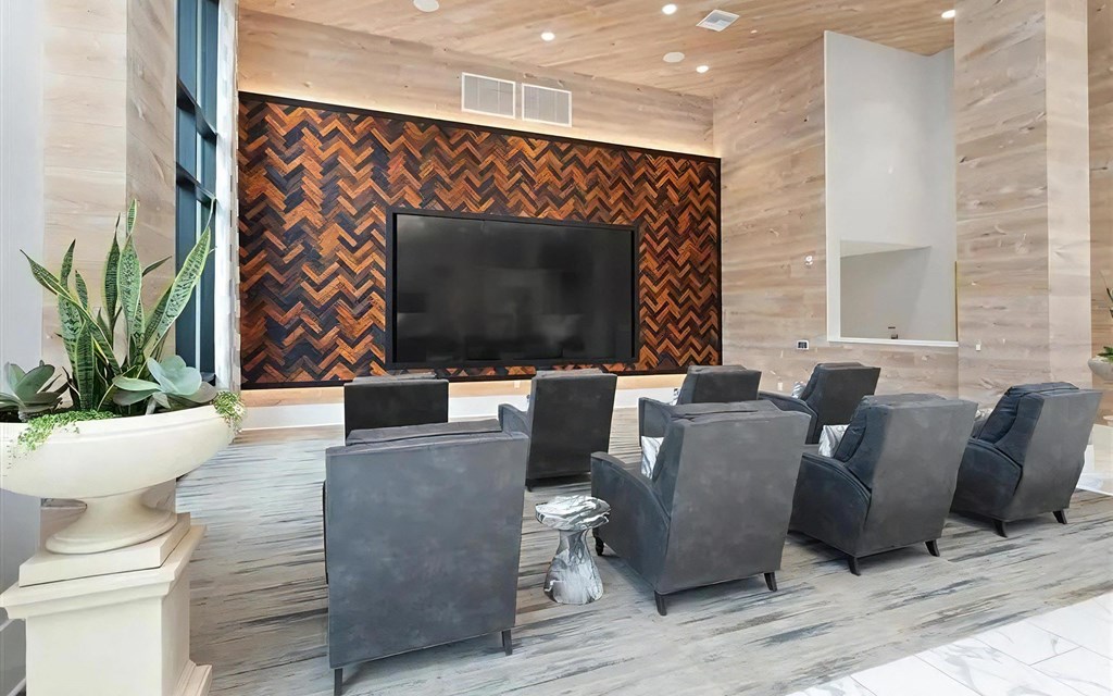 Large TV with Individual Seats