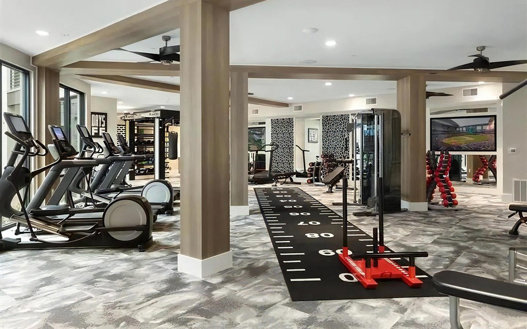 Cardio Machines and Sleds