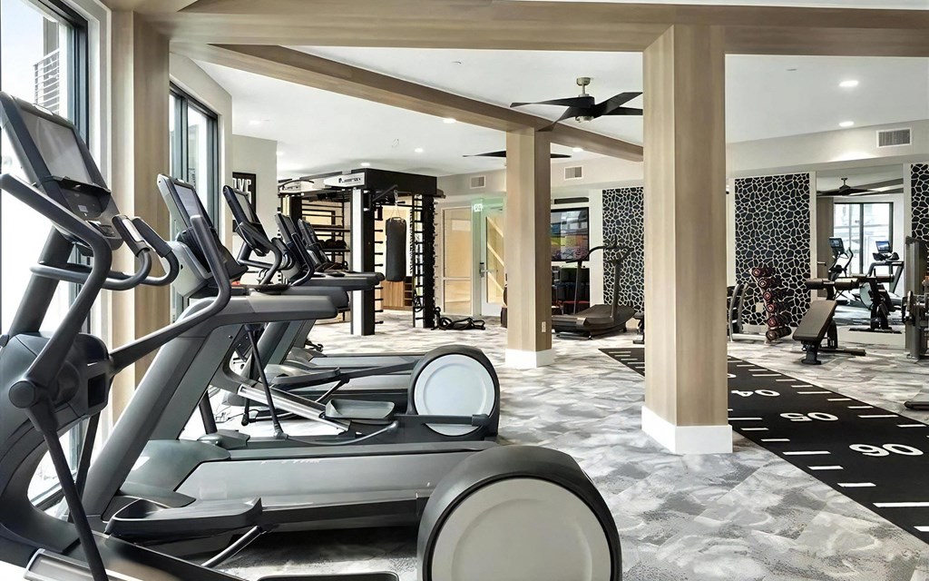 Full Fitness Studio