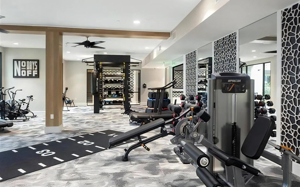 Strength and Cardio Machines