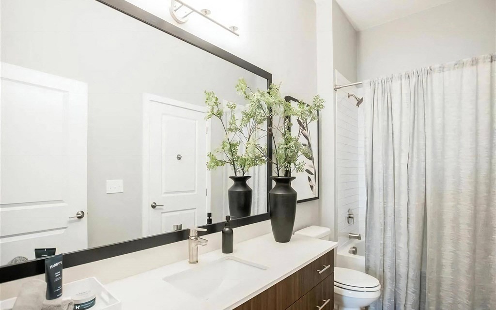 Expansive bathrooms