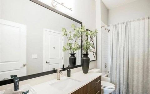 Large Bathrooms with Attached Closet