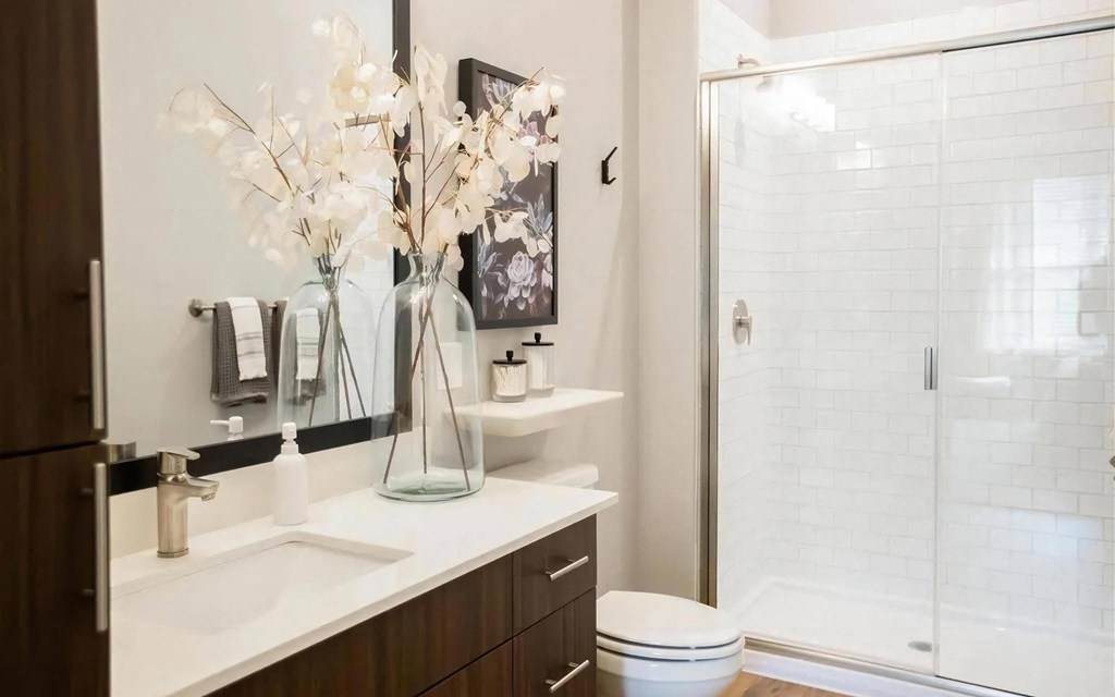 Luxury Showers with Glass Doors