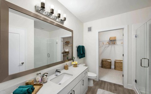 Spacious Bathroom Featuring Glass Shower and Attached Walk-In Closet