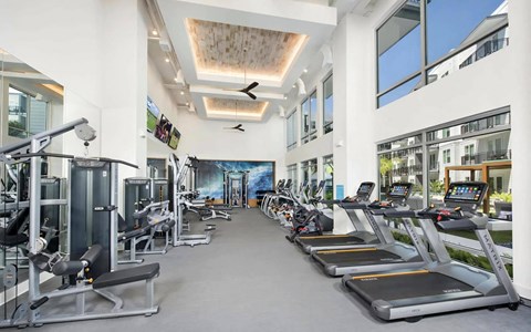 Fitness Studio with Cardio Machines, Weight Equipment, and Floor-to-Ceiling Windows
