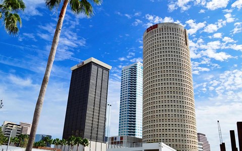 Downtown Tampa High-Rises and Palms Near Anchor Riverwalk Community