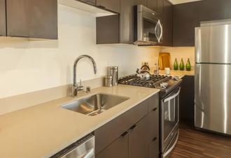 Ballard Lofts Apartment Amenities Cesarstone Countertops and Stainless Appliances