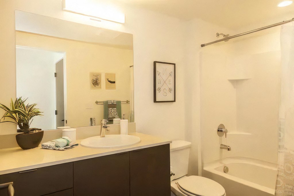 Ballard Lofts Apartment Amenities Spacious Bathrooms with Mounted Lighting and Plenty of Storage Space