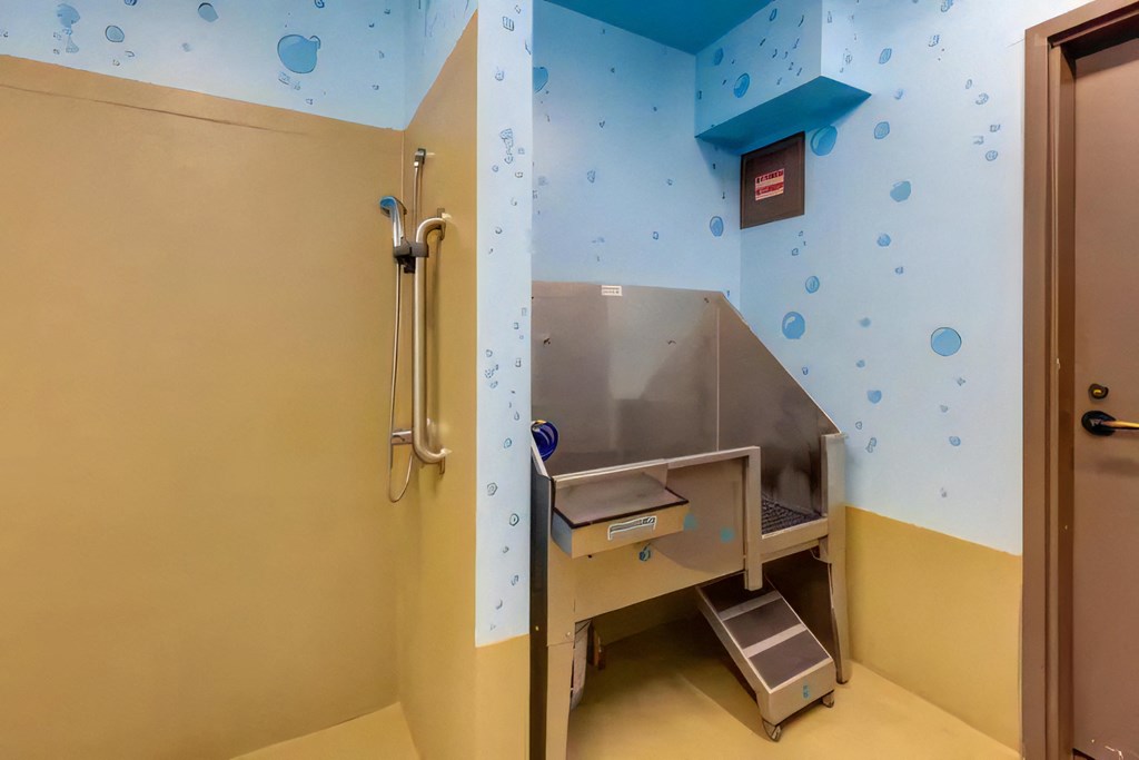 Ballard Lofts Community Amenities Dog Wash