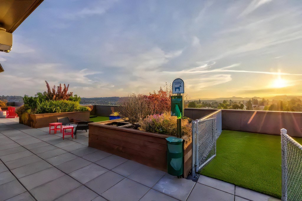 Ballard Lofts Community Amenities Open Air Pet Walk Dog Relief Area