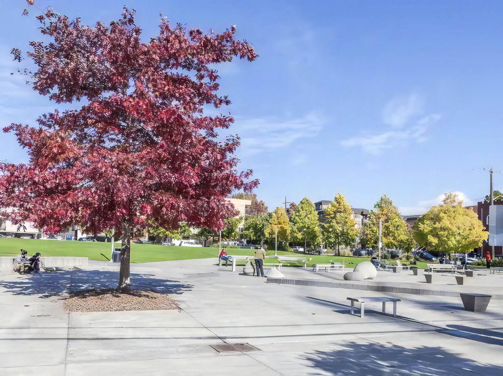 Ballard Lofts Neighborhood Amenities Ballard Commons Park