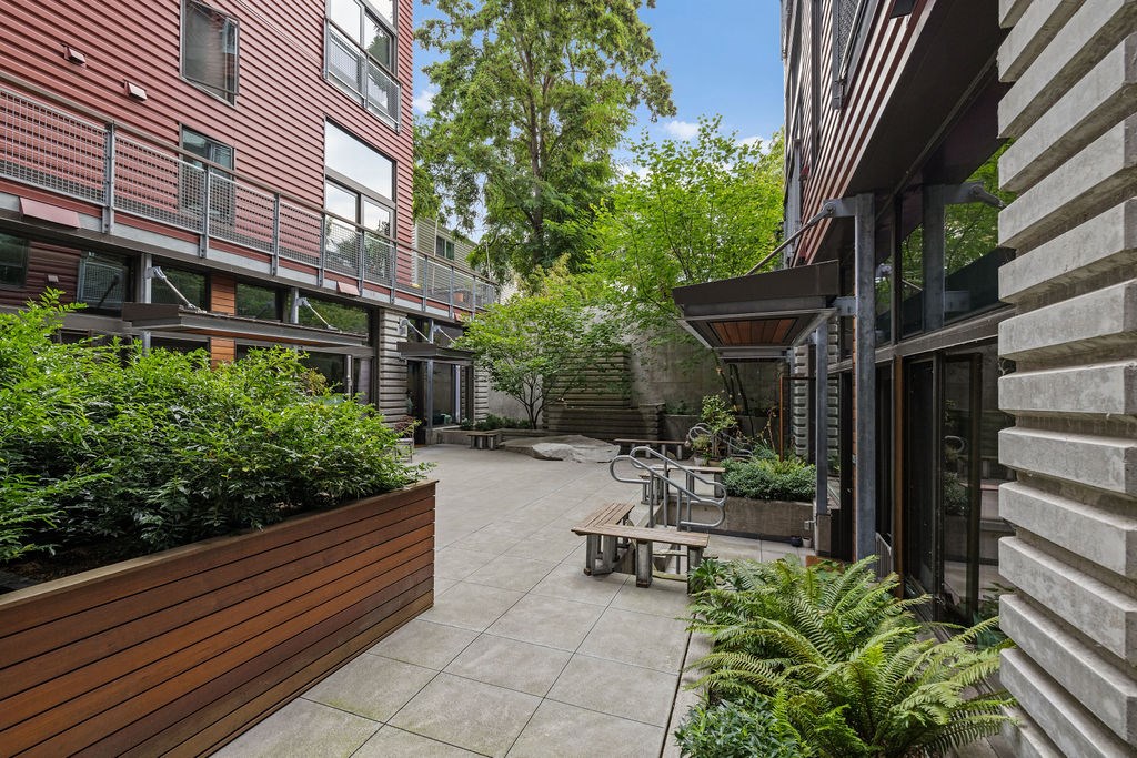 A courtyard with a wooden bench and a fern plant.