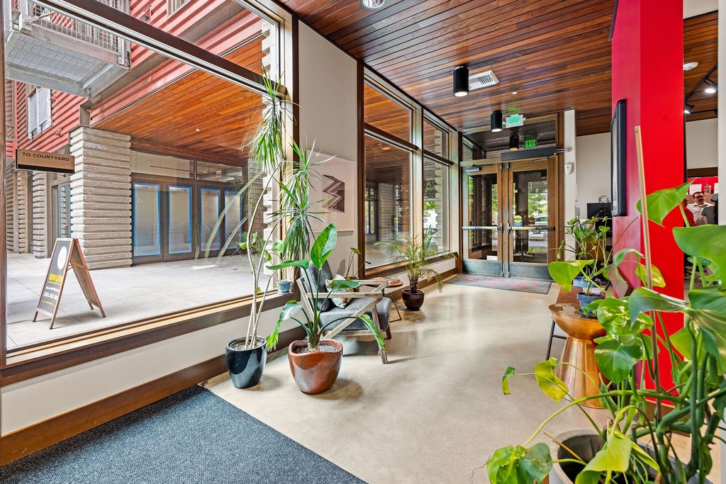 Lobbu with a lot of green plants and a blue rug.