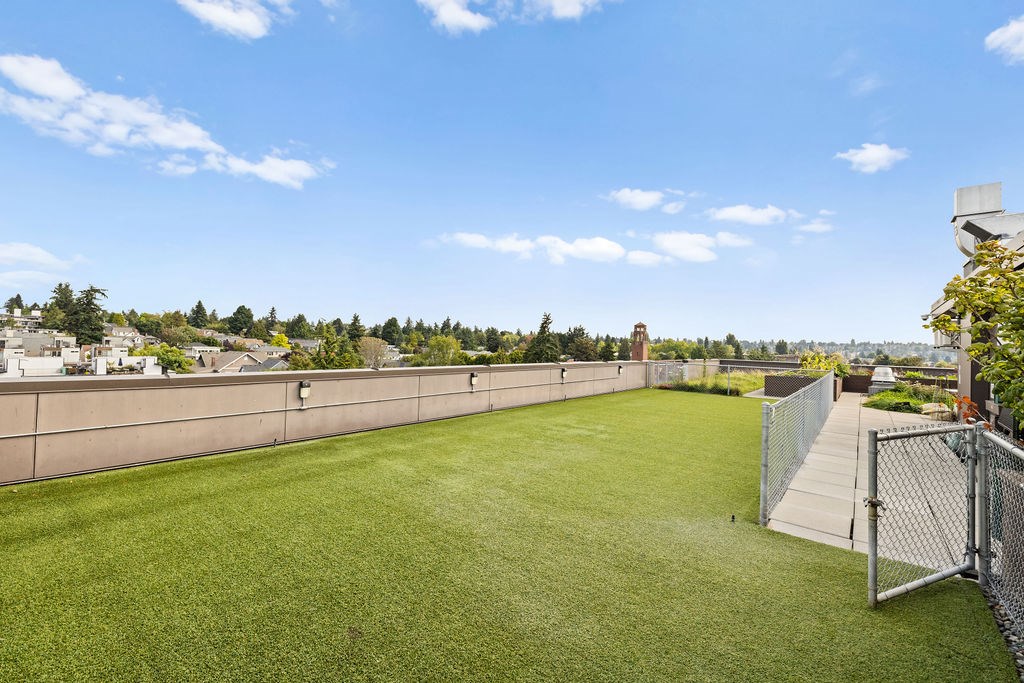 A large, well-maintained lawn with a fence and a building in the background.