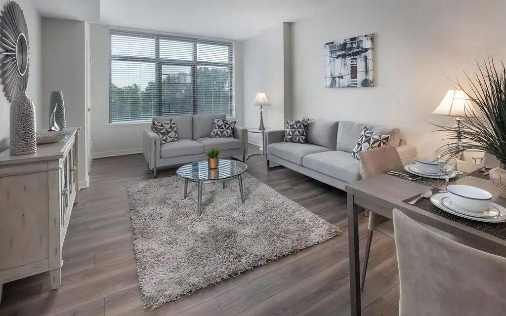 Apartment Living Area Featuring Seating and Dining Space With Placemats