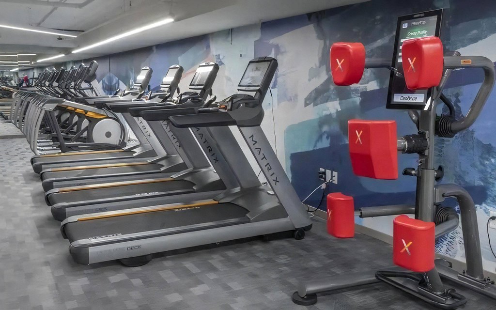 Cardio Equipment Including Matrix Treadmills and Digital Boxing Trainer