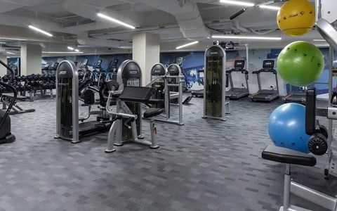 Fitness center with weight machines, benches, dumbbells, stability balls, and treadmills along a painted mural.