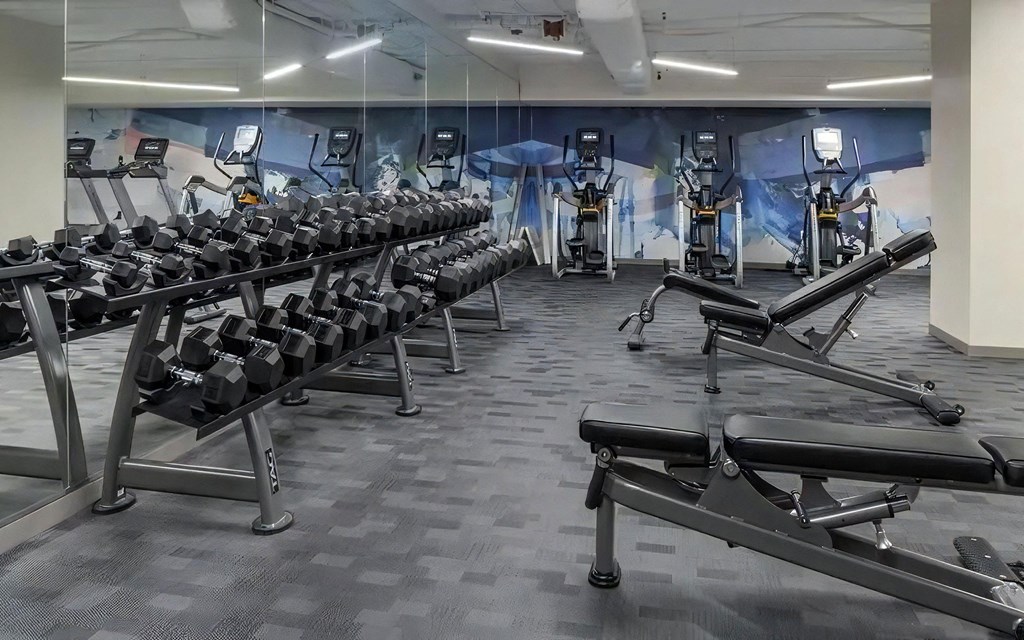 Free Weight Section With Dumbbells, Benches, and Elliptical Machines