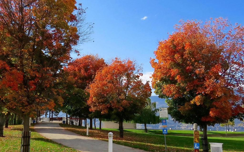 Public Sidewalk Path Surrounded by Autumn Trees and Park Signage