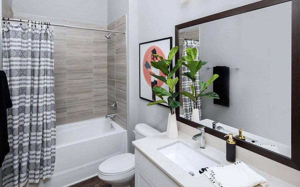 Luxury Bathrooms with  Soaking Tubs