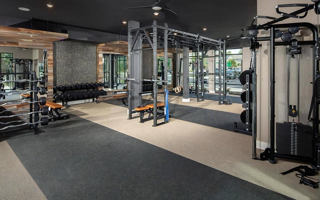 Fitness Studio with Cardio and Strength Machines