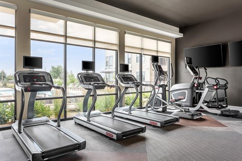 Cardio room with three treadmills and two ellipticals facing floor-to- ceiling windows, with televisions on the wall.