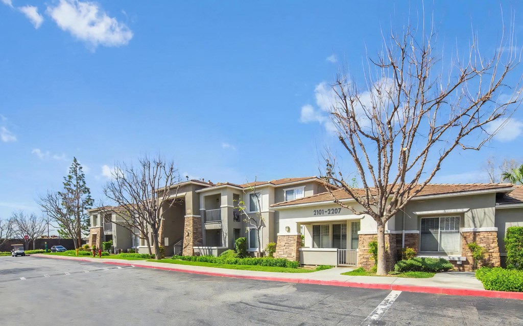 Road Surrounding Apartment Building
