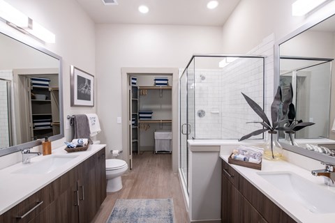 Double Vanity Bathroom with Frameless Glass Shower and Walk-In Closet