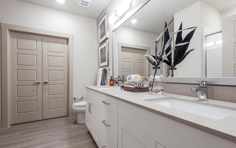 Double Sink Vanity with Sleek Fixtures and Neutral Cabinetry