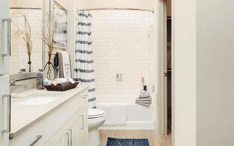 Elegant Bathroom Featuring Soaking Tub and Walk-In Closet Access