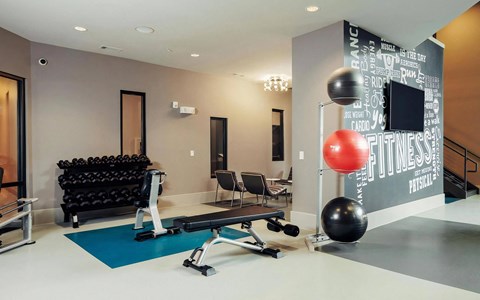 Gym Studio Featuring Adjustable Machines and Open-Use Workout Space