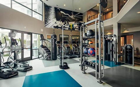 Fully Equipped Fitness Room Featuring Cardio Equipment and Functional Trainer